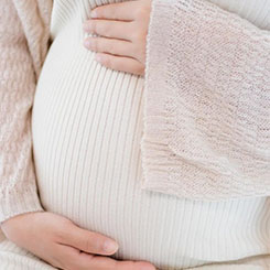 来自古吉拉特邦、🐩🇧🇭德里、哈里亚🧾🛰纳邦和旁💭🚗遮普邦🌀😈